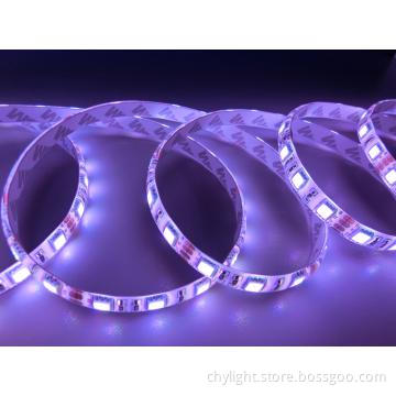 Flexible Strip LED Light SMD5050 Decorateive in Wide Application